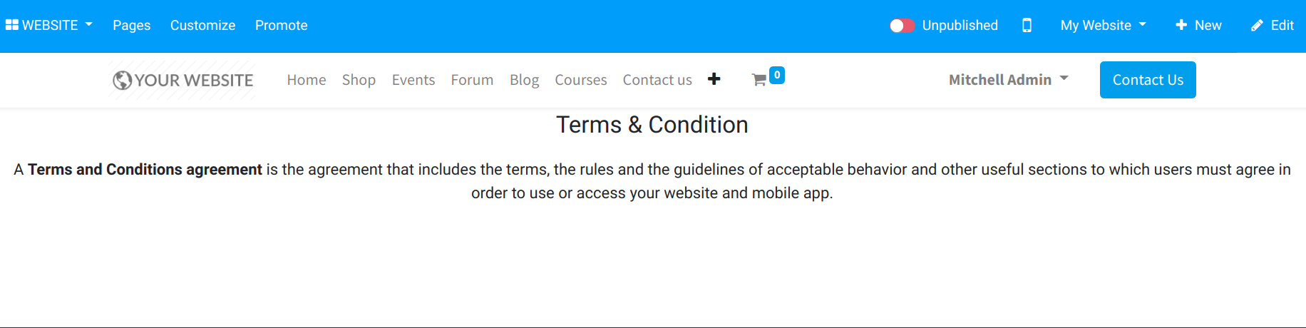 General Terms & Conditions on your website