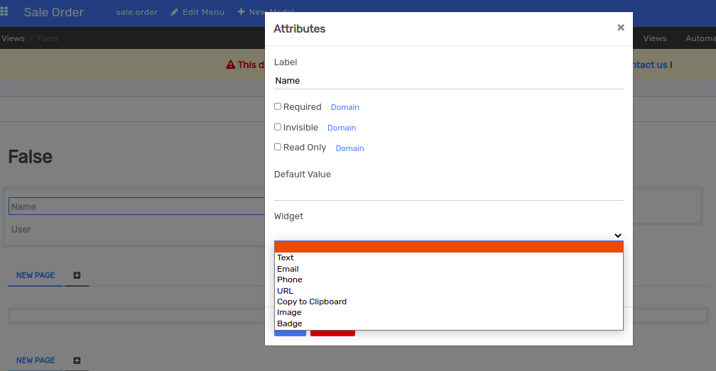 Form view showing the widgets available in Flectra Studio