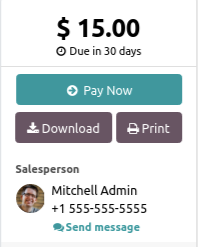 "Pay now" button on an invoice in the Customer Portal.