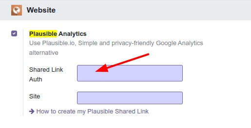 Paste the shared link URL to Flectra settings