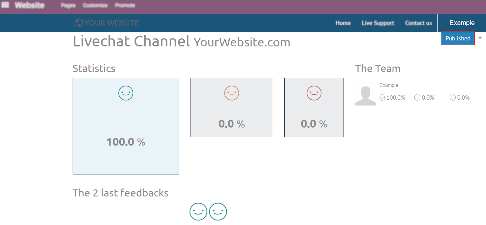 View of the public ratings in the website for Flectra Live Chat