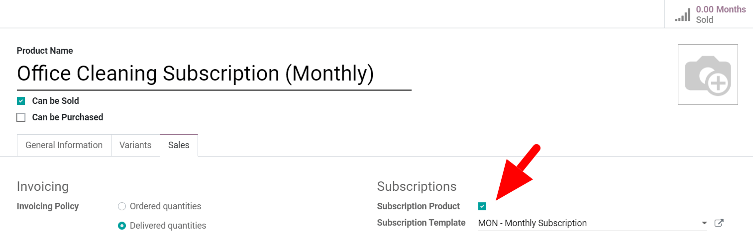 View of a subscription product form in Flectra Subscriptions
