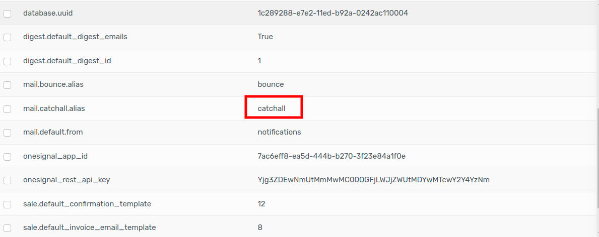 System parameters with catchall configuration in Flectra.