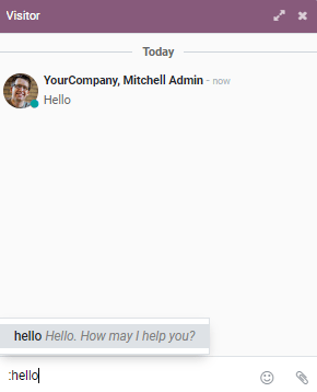 View of a chat window and the use of a canned response in Flectra Live Chat