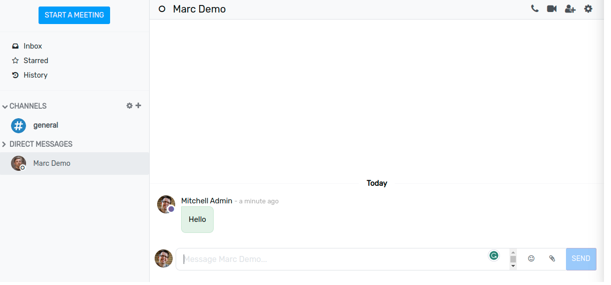 View of the discuss application with a message sent through live chat in Flectra