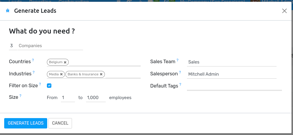 The pop-up window with the selection criteria in order to generate leads in Flectra.