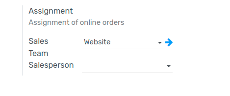 Assignment of online orders to a sales team or salesperson