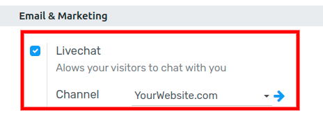 View of the settings page and the live chat feature for Flectra Live Chat