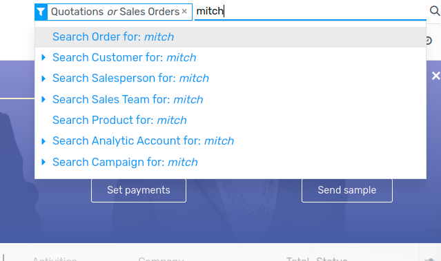 Searching for a specific value on the Sales Analysis report